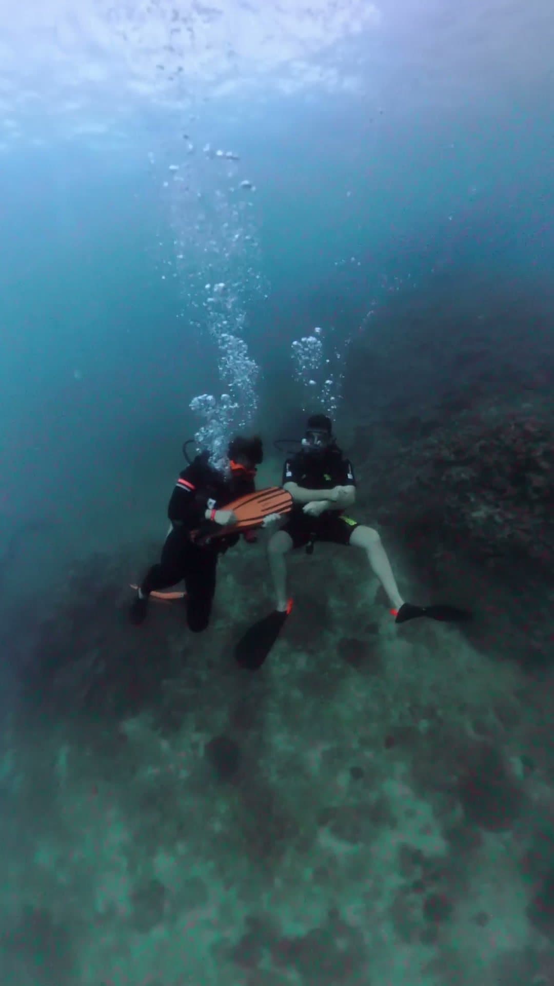 Batismo de mergulho (Discover Scuba Diving)