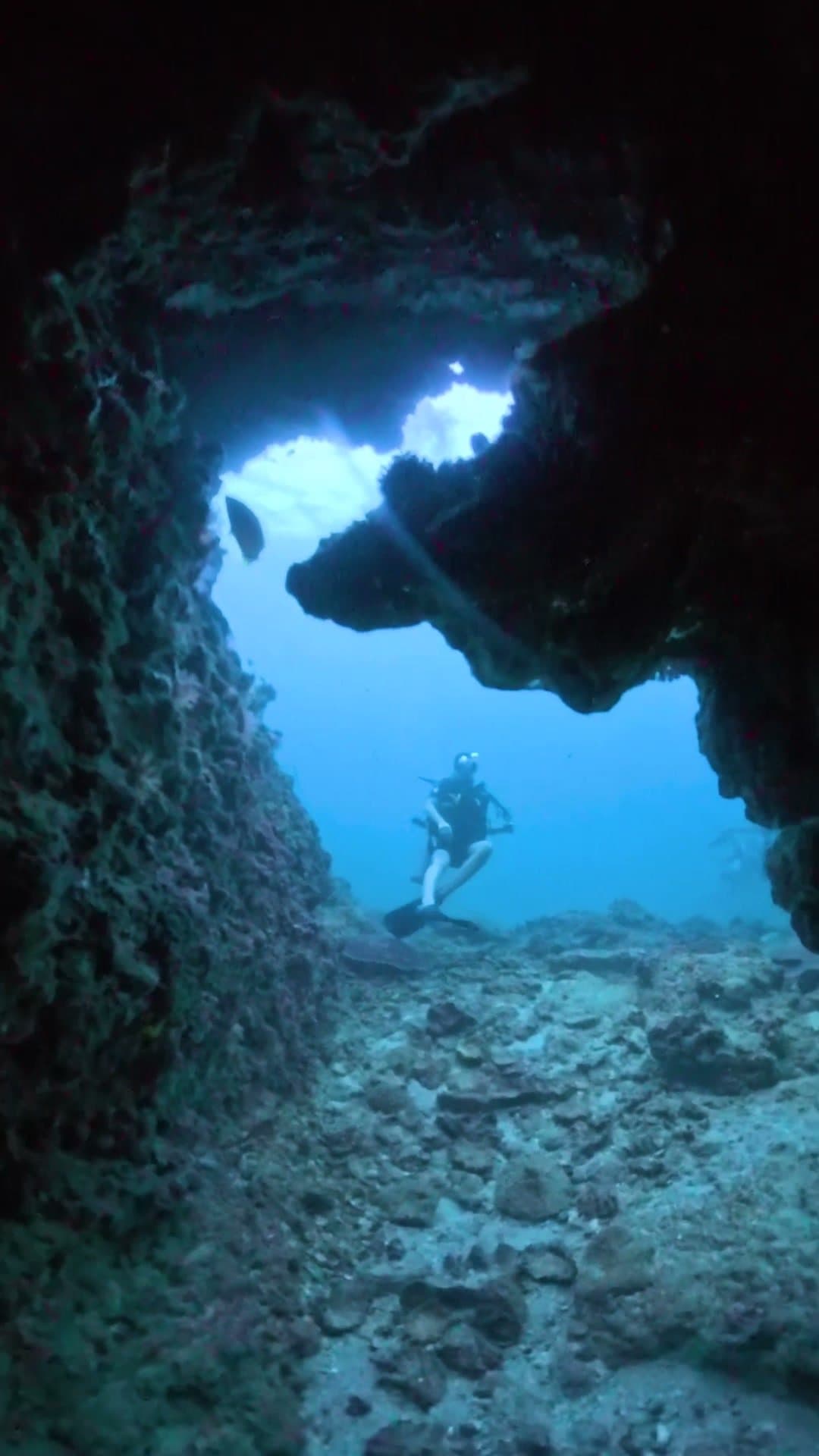 Certificação Advanced (PADI ou SSI)