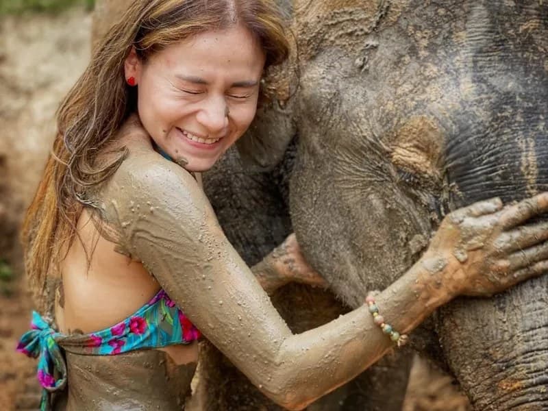 Elephants, mud bath and hidden waterfall · ethical sanctuary near Chiang Mai (half-day or full day), Phi Phi Paradise Travel