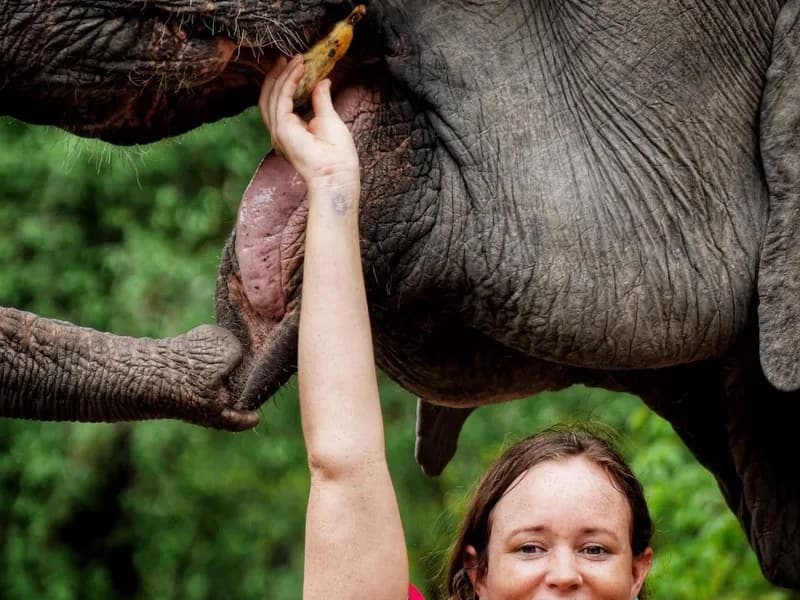 Elephants, mud bath and hidden waterfall · ethical sanctuary near Chiang Mai (half-day or full day)