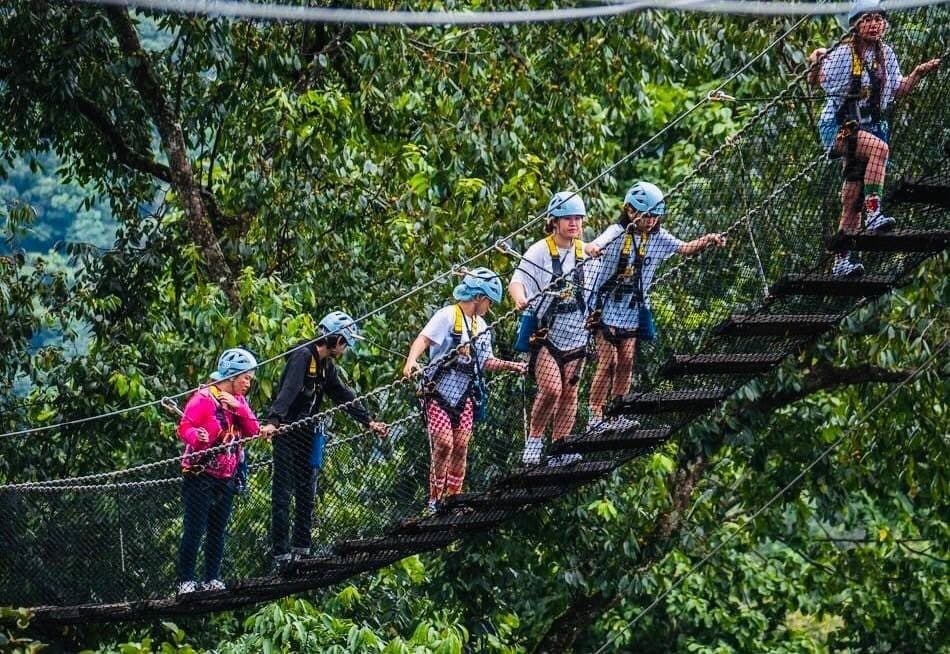 Tirolina en la jungla cerca de Chiang Mai · 19 o 38 plataformas, bufé tailandés incluido
