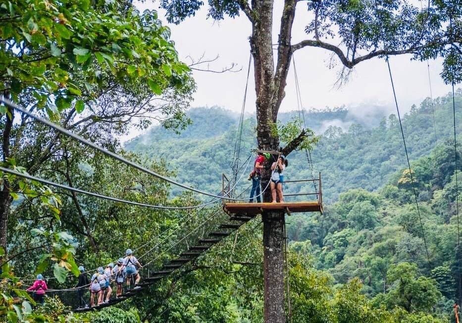 Tirolina en la jungla cerca de Chiang Mai · 19 o 38 plataformas, bufé tailandés incluido