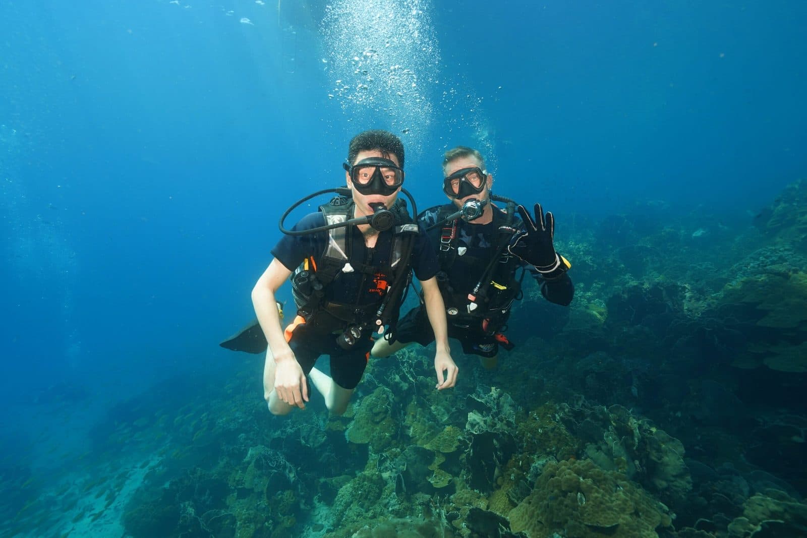 Tauchen für Zertifizierte · Koh Kood oder Nationalpark Koh Rang (2 Tauchgänge), Phi Phi Paradise Travel
