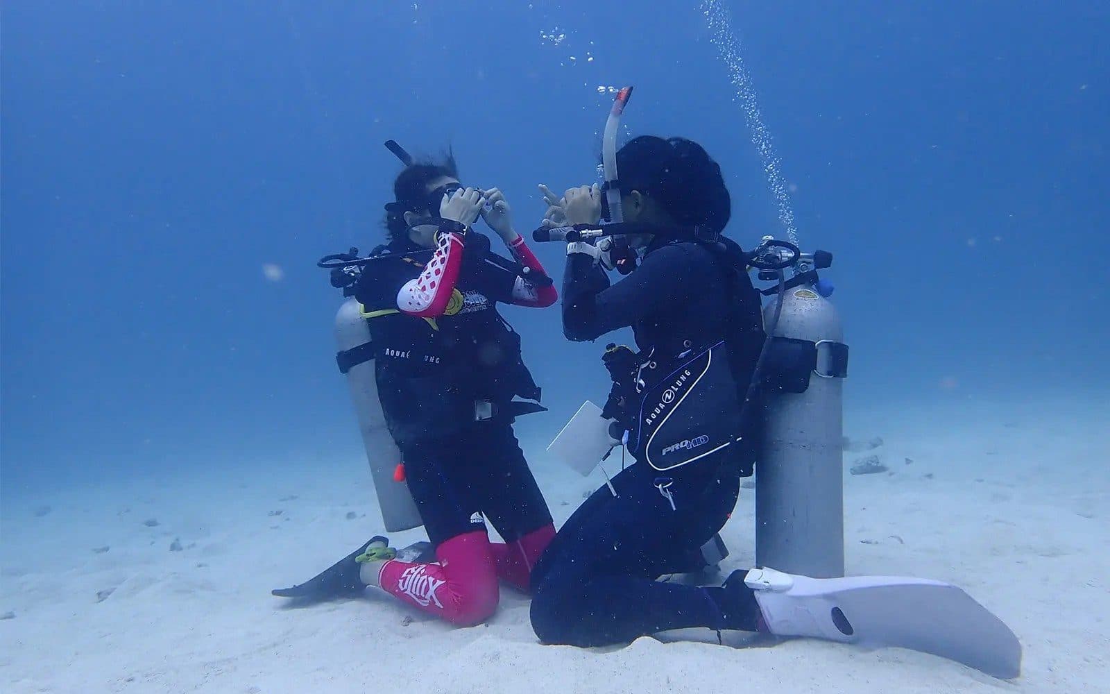Baptême de plongée à Koh Tao · 2 plongées depuis Koh Samui (sans brevet)