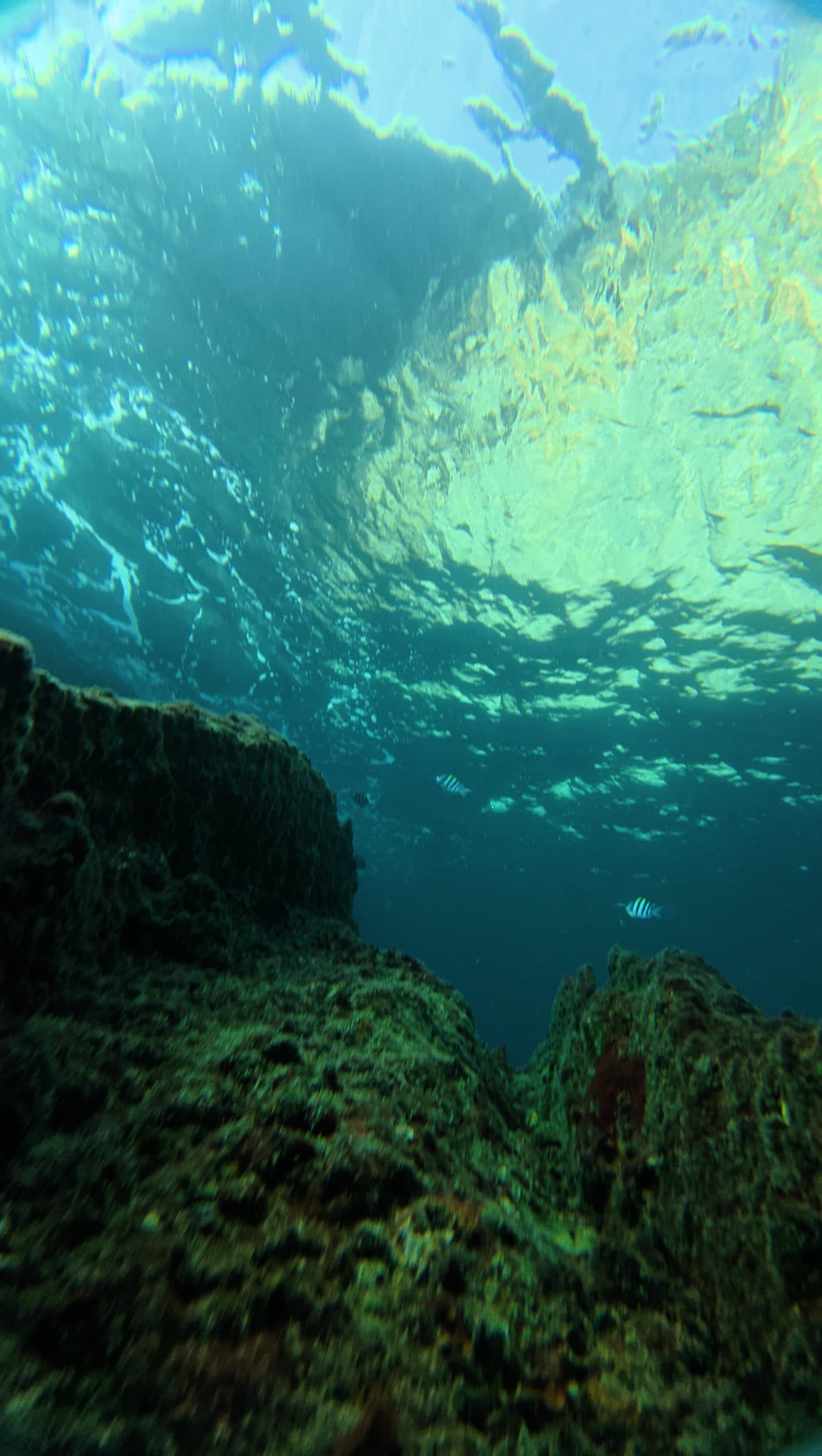 Snorkelling Day Trip from Koh Yao · Coral Reefs and Colourful Fish