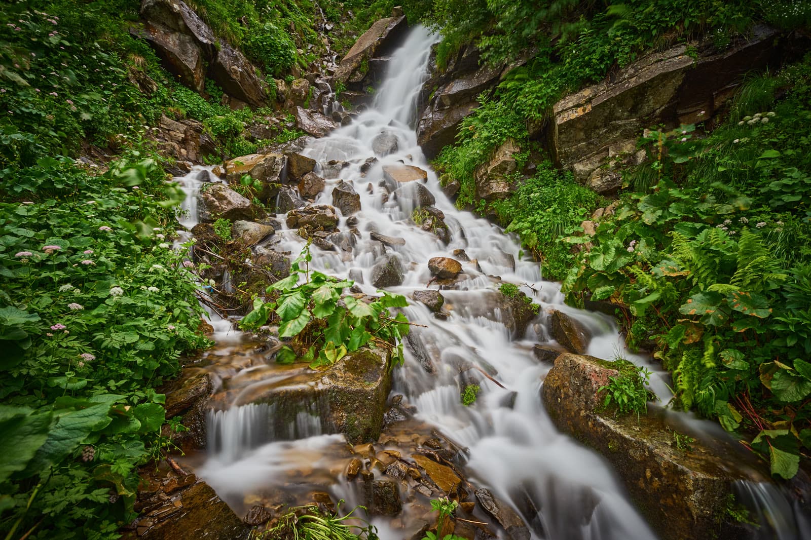 Piscina Esmeralda y Aguas Termales - Parque Nacional