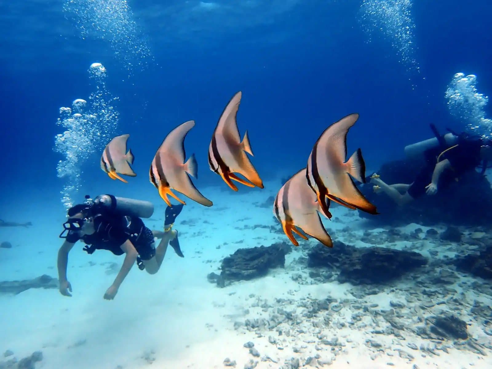 Pêche et snorkeling à Racha Yai · bateau de pêche privatisé depuis Phuket (jusqu'à 10 pers.)