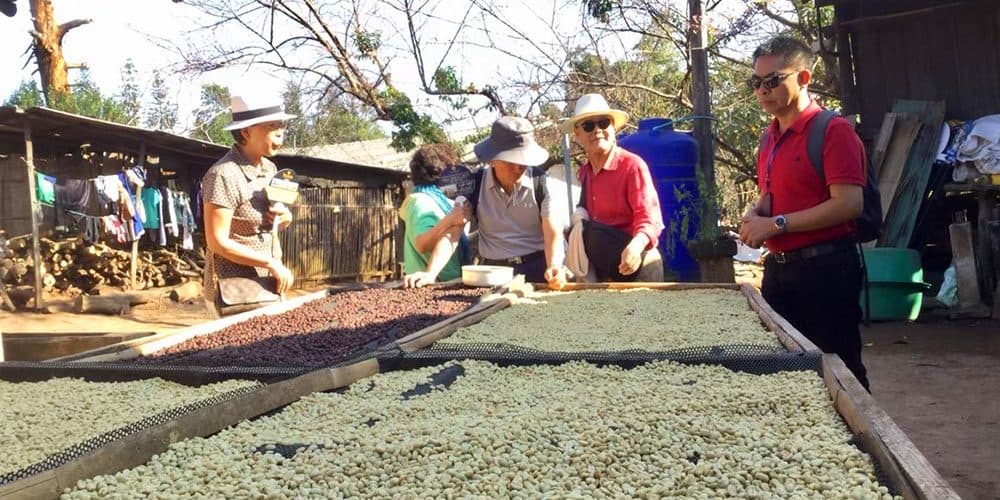 Village hmong et chants du soir au Doi Suthep · après-midi depuis Chiang Mai