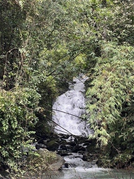 Khao Sok day trip · jungle hike and the Sok River (from Khao Lak)