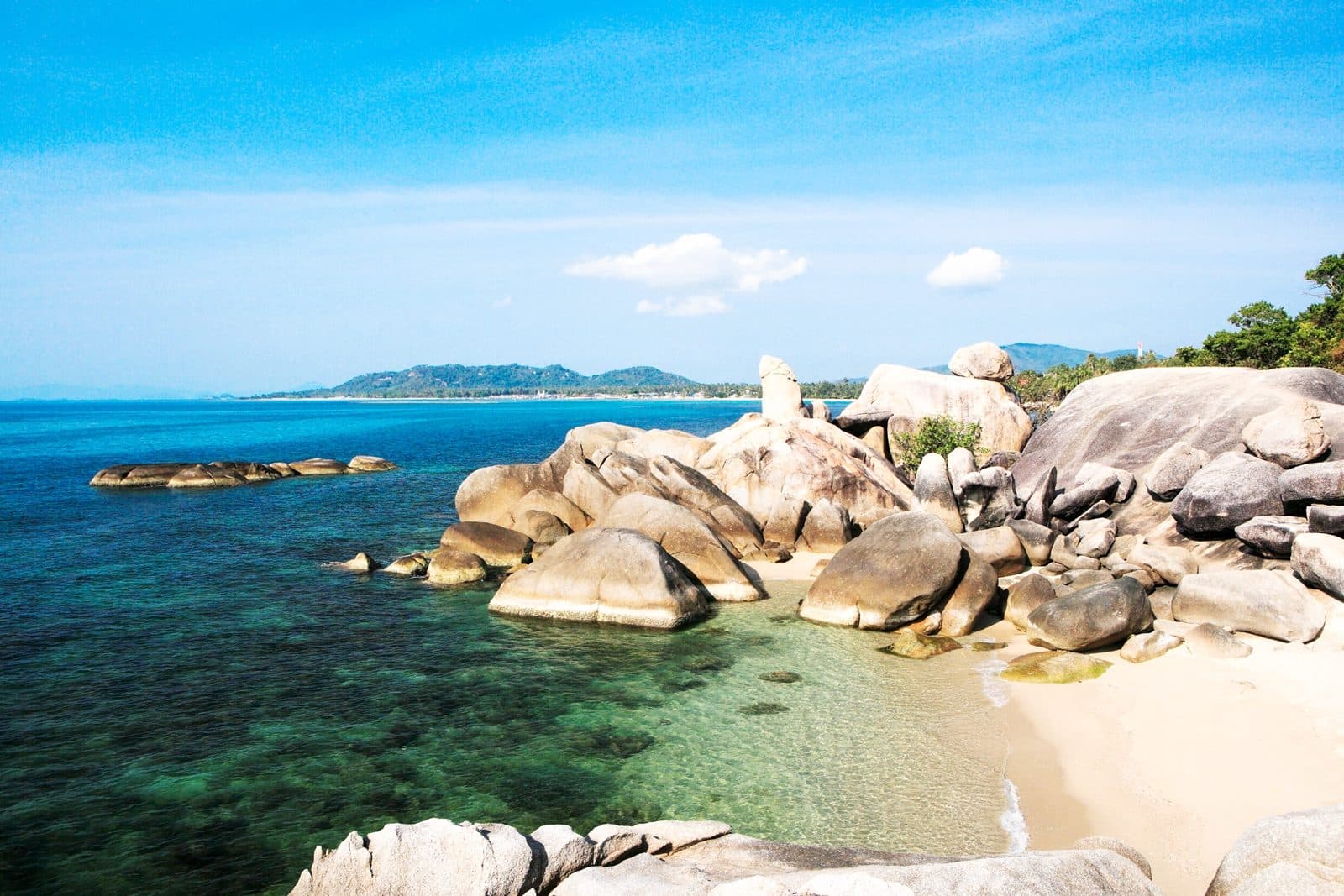 Private Jungle-Safari im Jeep auf Koh Samui · Maßgeschneiderter Tag für 2 bis 10 Personen
