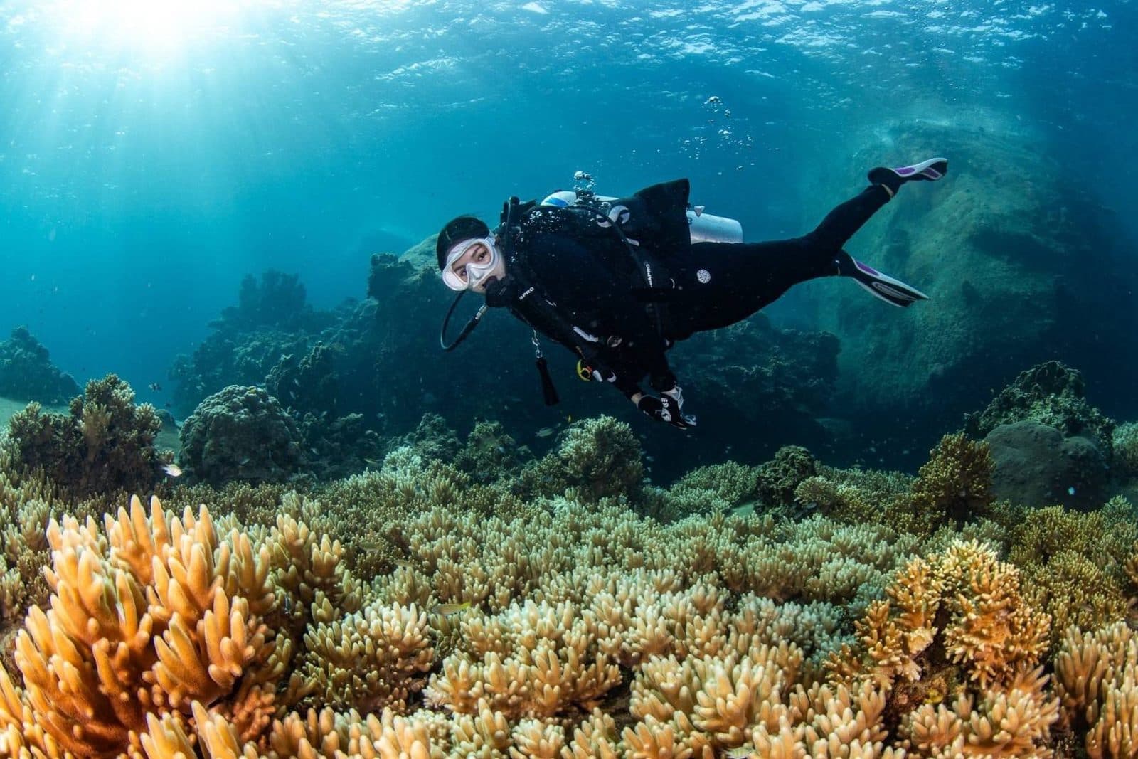 PADI Open Water Kurs · Krabi (3 Tage, Zertifizierung bis 18 m)