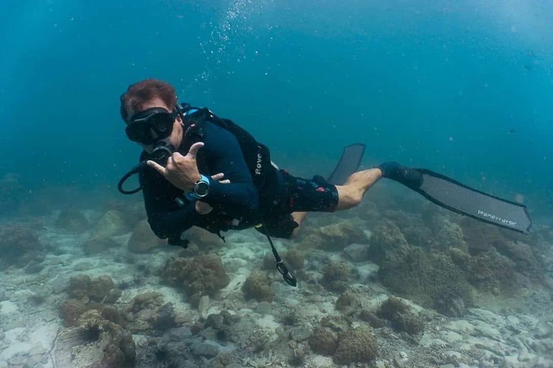 Diving for Certified Divers · 2 dives at the Pattaya islands or Samae San