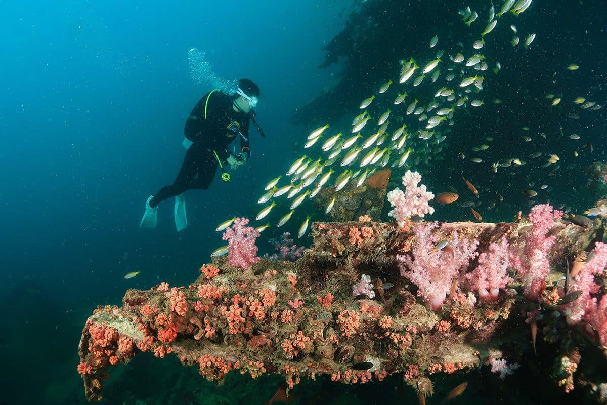 PADI Advanced Open Water Kurs in Phuket · 2 Tage, 5 Tauchgänge bis 30 m, Phi Phi Paradise Travel