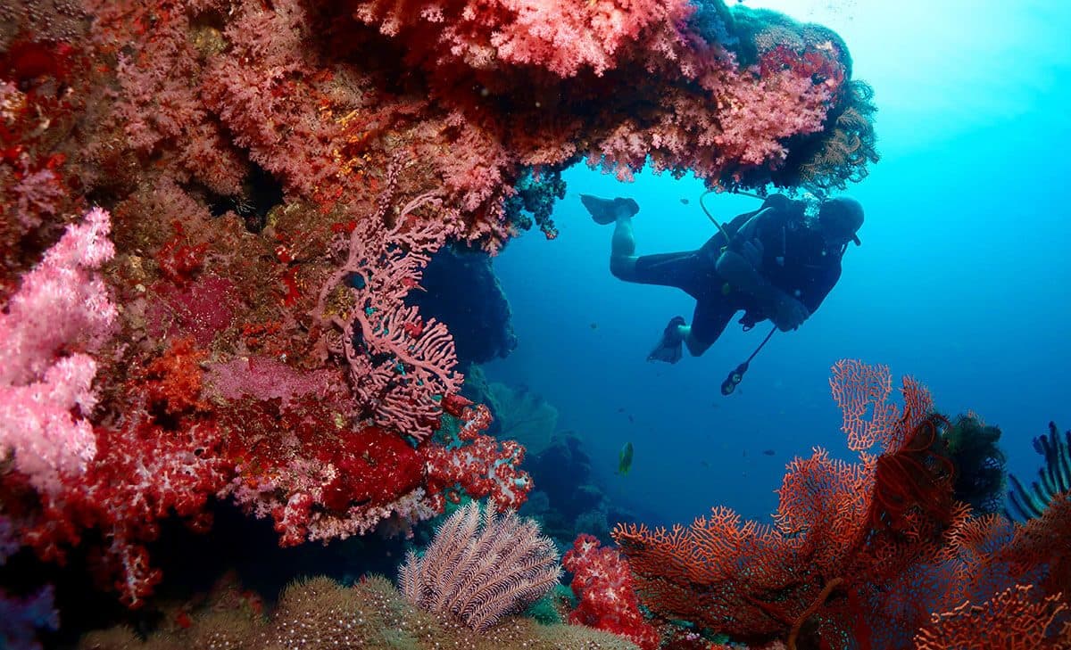 PADI Advanced Open Water Kurs in Phuket · 2 Tage, 5 Tauchgänge bis 30 m