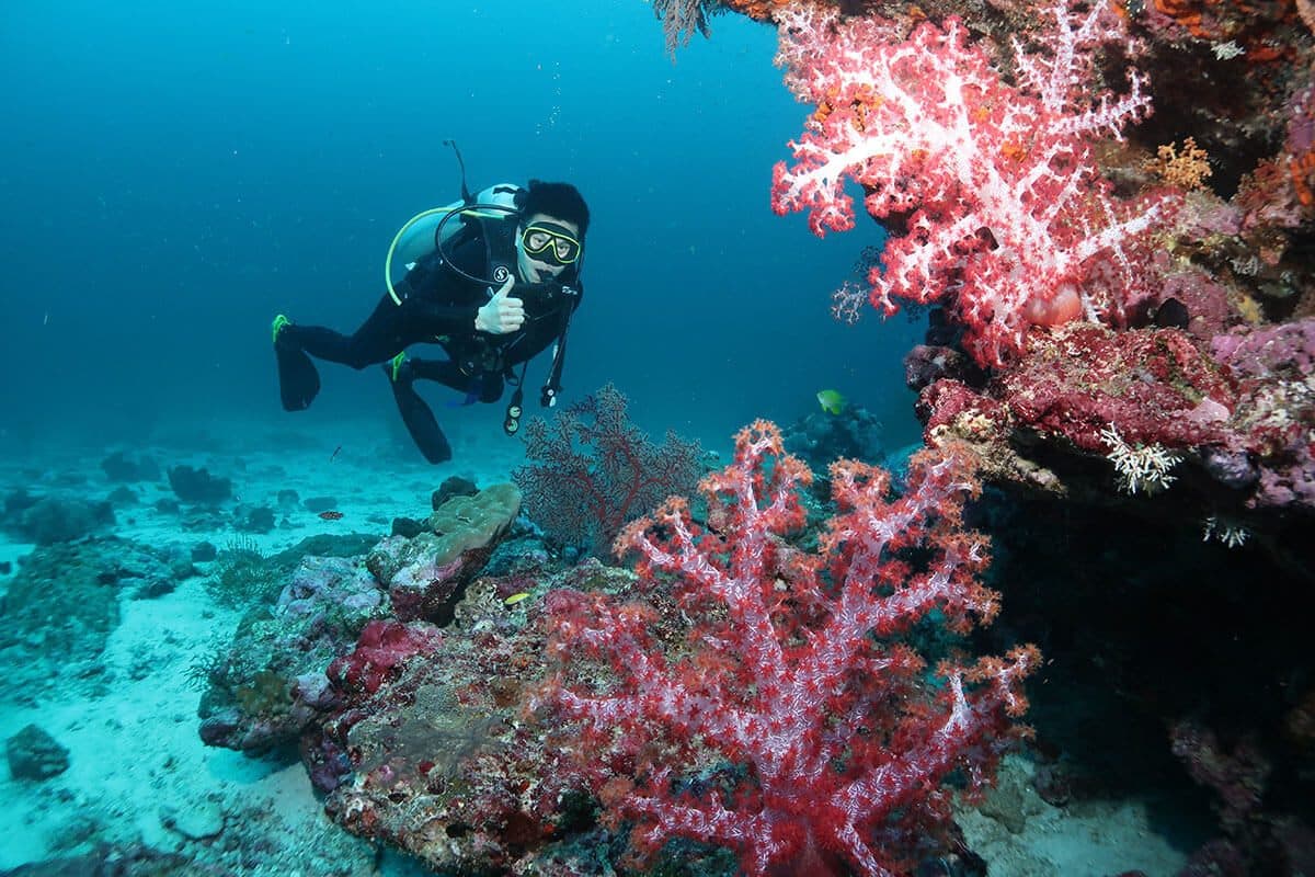 SSI Scuba Diver Kurs auf Phuket · 2 Tage, Zertifizierung bis 12 m