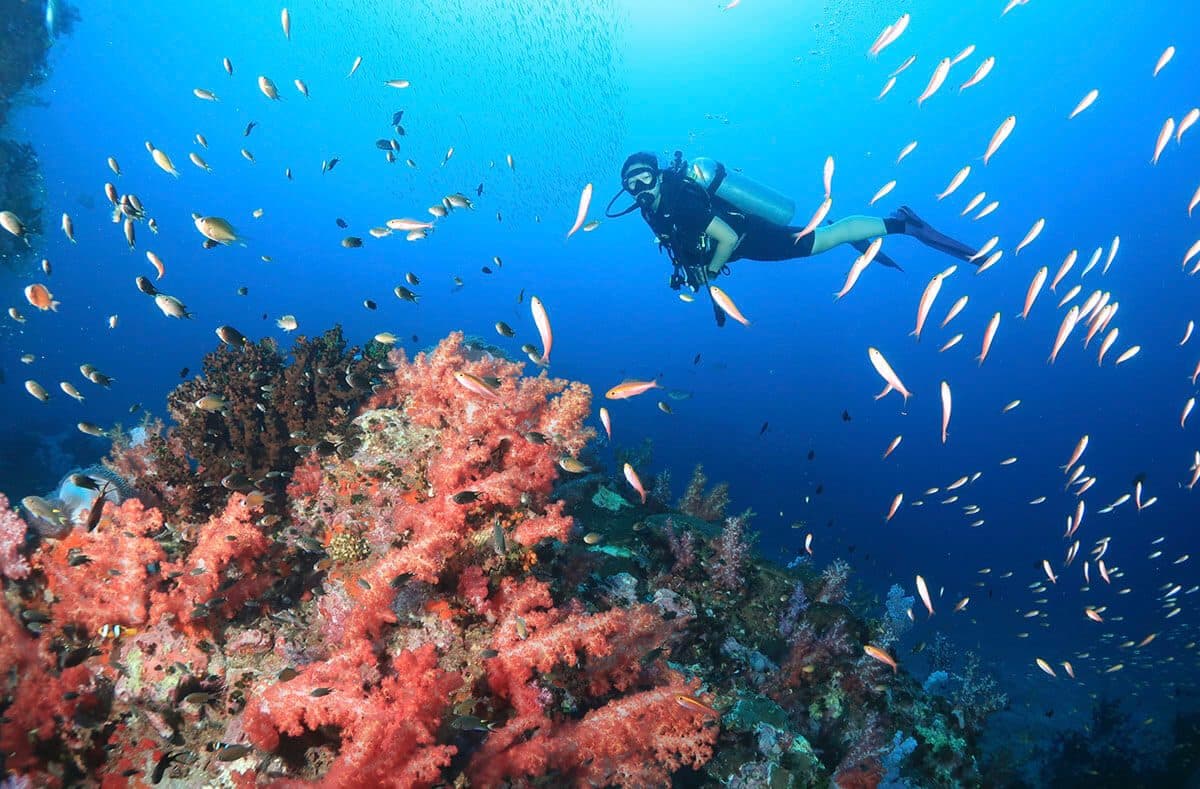 SSI Scuba Diver Kurs auf Phuket · 2 Tage, Zertifizierung bis 12 m