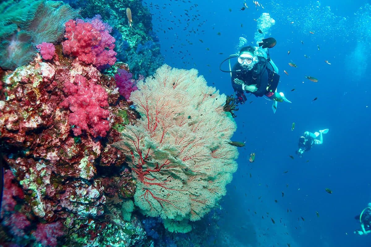 Fun Diving from Phuket · 3 dives at Phi Phi, Racha or King Cruiser
