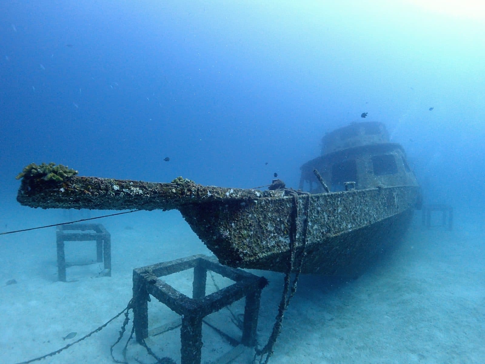 Fun Diving from Phuket · 3 dives at Phi Phi, Racha or King Cruiser