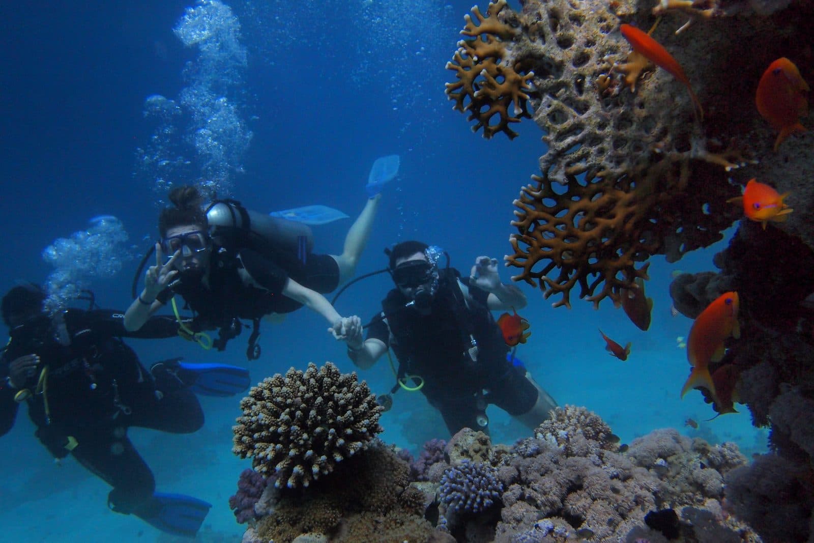 Schnuppertauchen ab Phuket · Racha Noi und Racha Yai mit PADI-Instruktor, Phi Phi Paradise Travel