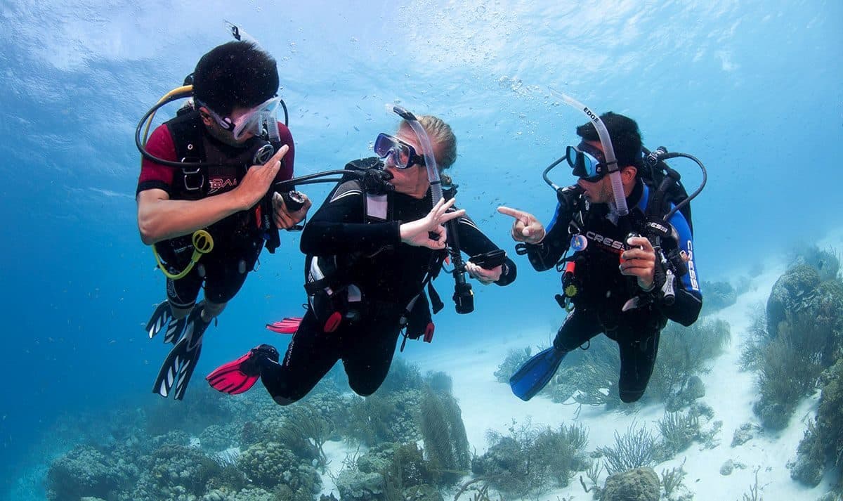 Schnuppertauchen ab Phuket · Racha Noi und Racha Yai mit PADI-Instruktor