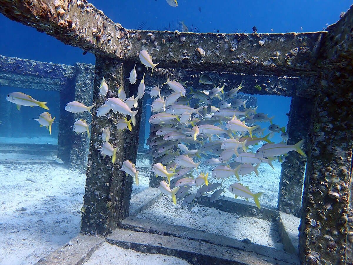 Schnuppertauchen ab Phuket · Racha Noi und Racha Yai mit PADI-Instruktor