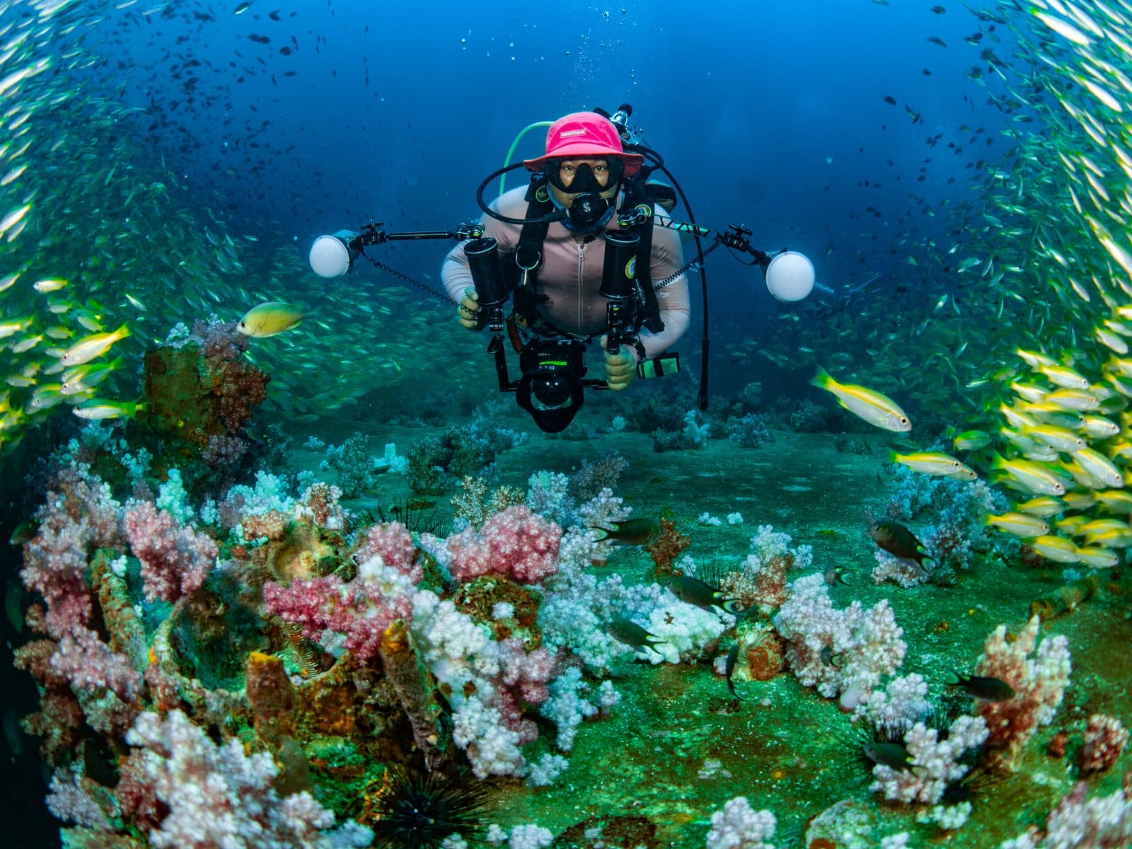 Tauch-Refresher ab Phuket · Auffrischung mit einem PADI-Profi (2 Tauchgänge), Phi Phi Paradise Travel
