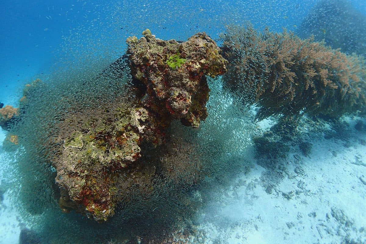 Tauch-Refresher ab Phuket · Auffrischung mit einem PADI-Profi (2 Tauchgänge)