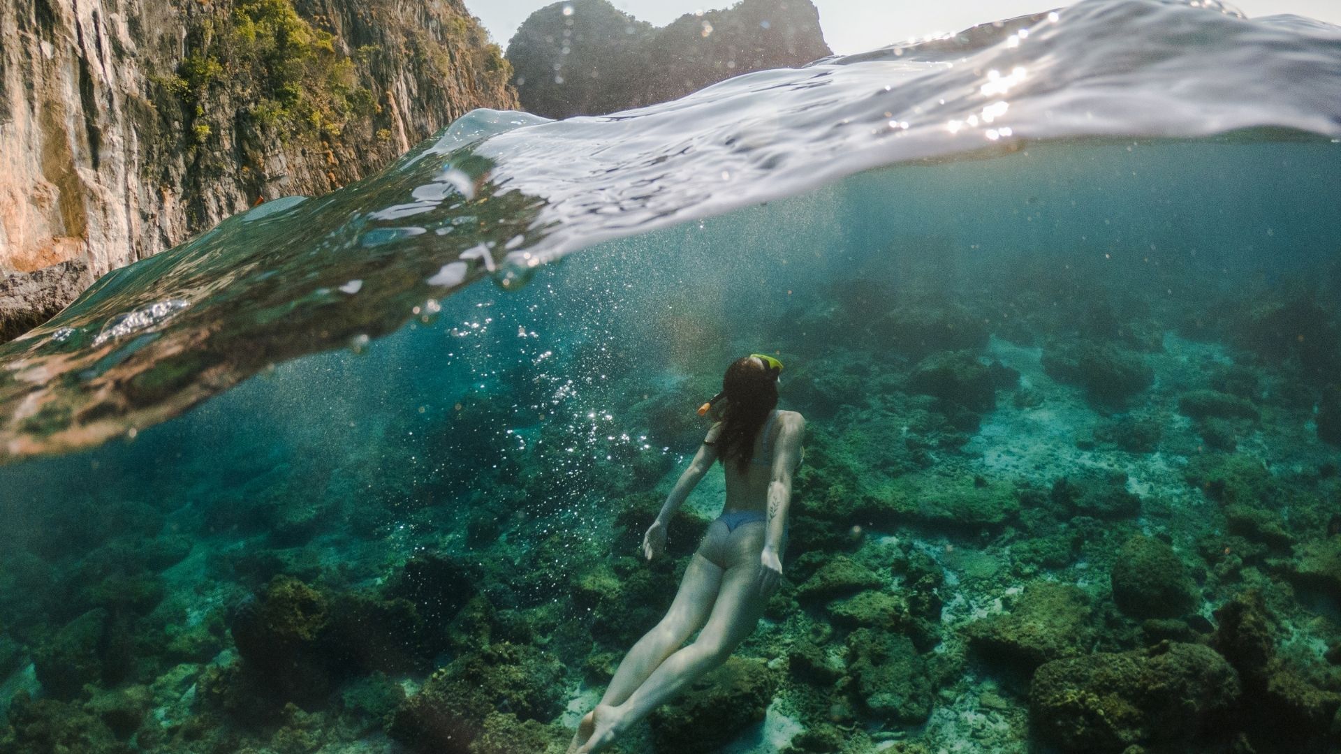 Baptême de plongée à Koh Phi Phi — 2 plongées 2/4